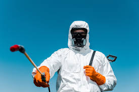 Best Fumigation Services  in Zwolle, LA